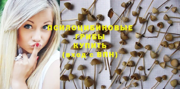 мет Абинск